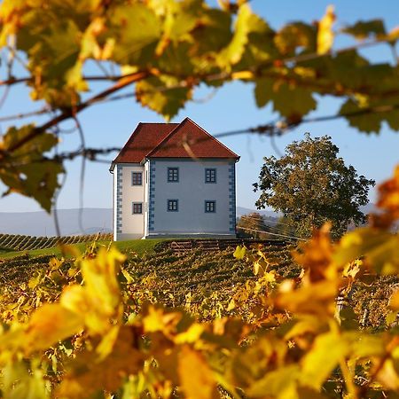 Wine Grower'S Mansion Zlati Gric Daire Slovenske Konjice Dış mekan fotoğraf