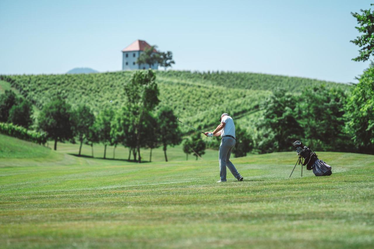 Wine Grower'S Mansion Zlati Gric Daire Slovenske Konjice Dış mekan fotoğraf