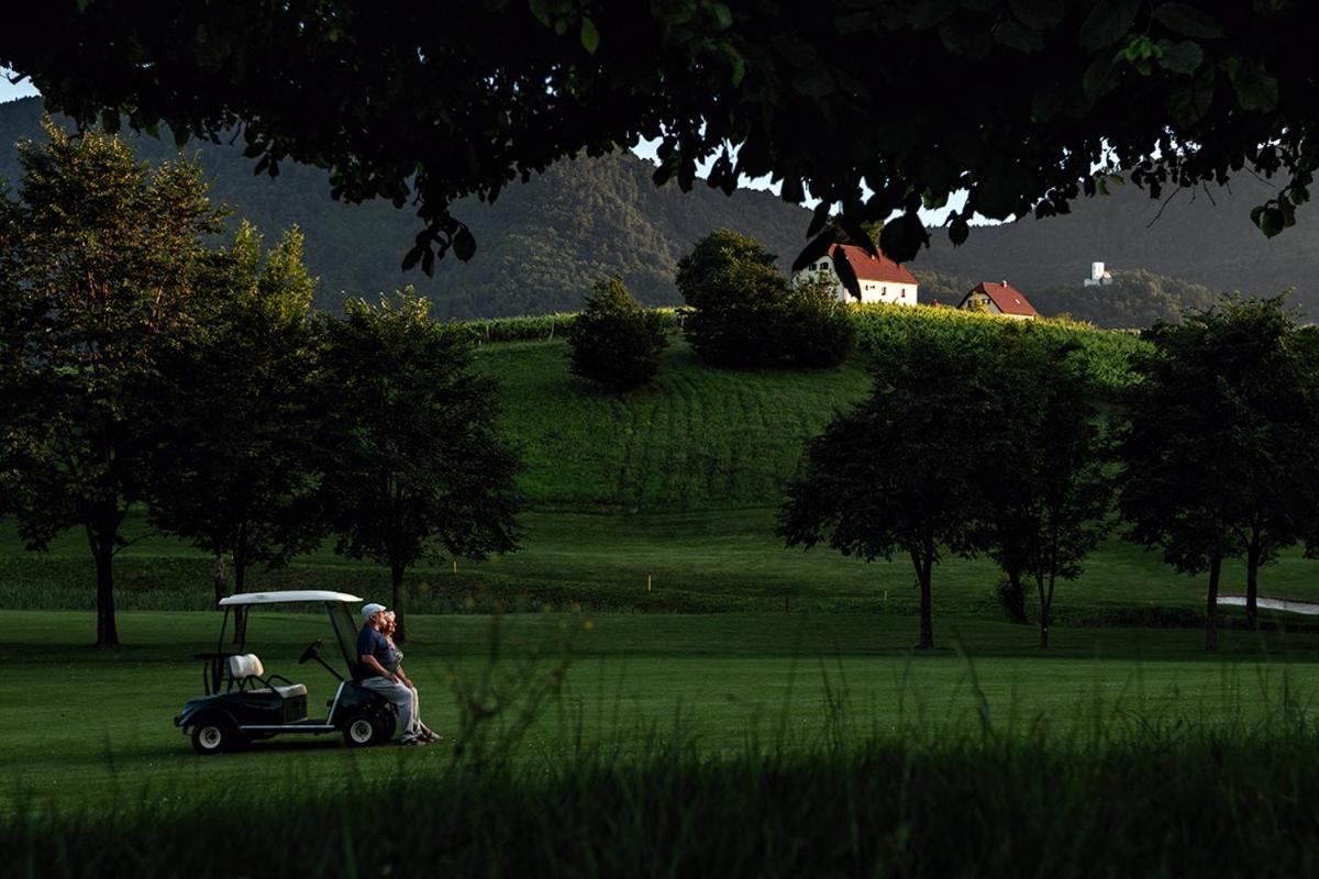 Wine Grower'S Mansion Zlati Gric Daire Slovenske Konjice Dış mekan fotoğraf