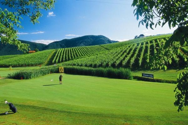 Wine Grower'S Mansion Zlati Gric Daire Slovenske Konjice Dış mekan fotoğraf