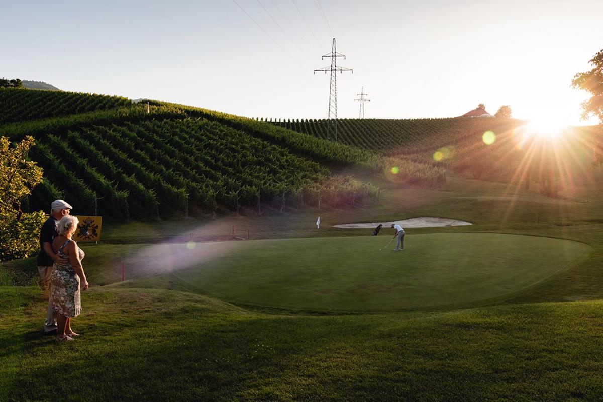 Wine Grower'S Mansion Zlati Gric Daire Slovenske Konjice Dış mekan fotoğraf