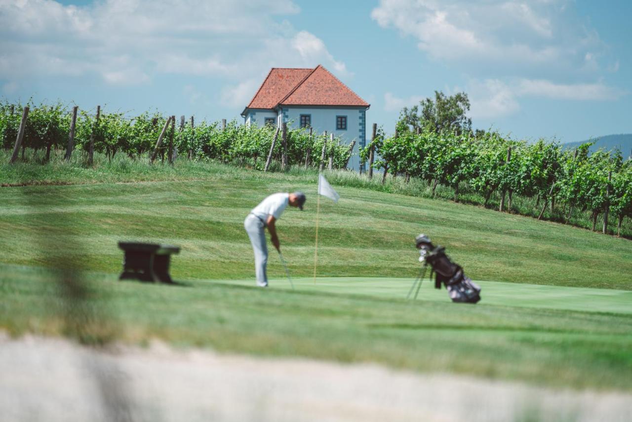 Wine Grower'S Mansion Zlati Gric Daire Slovenske Konjice Dış mekan fotoğraf