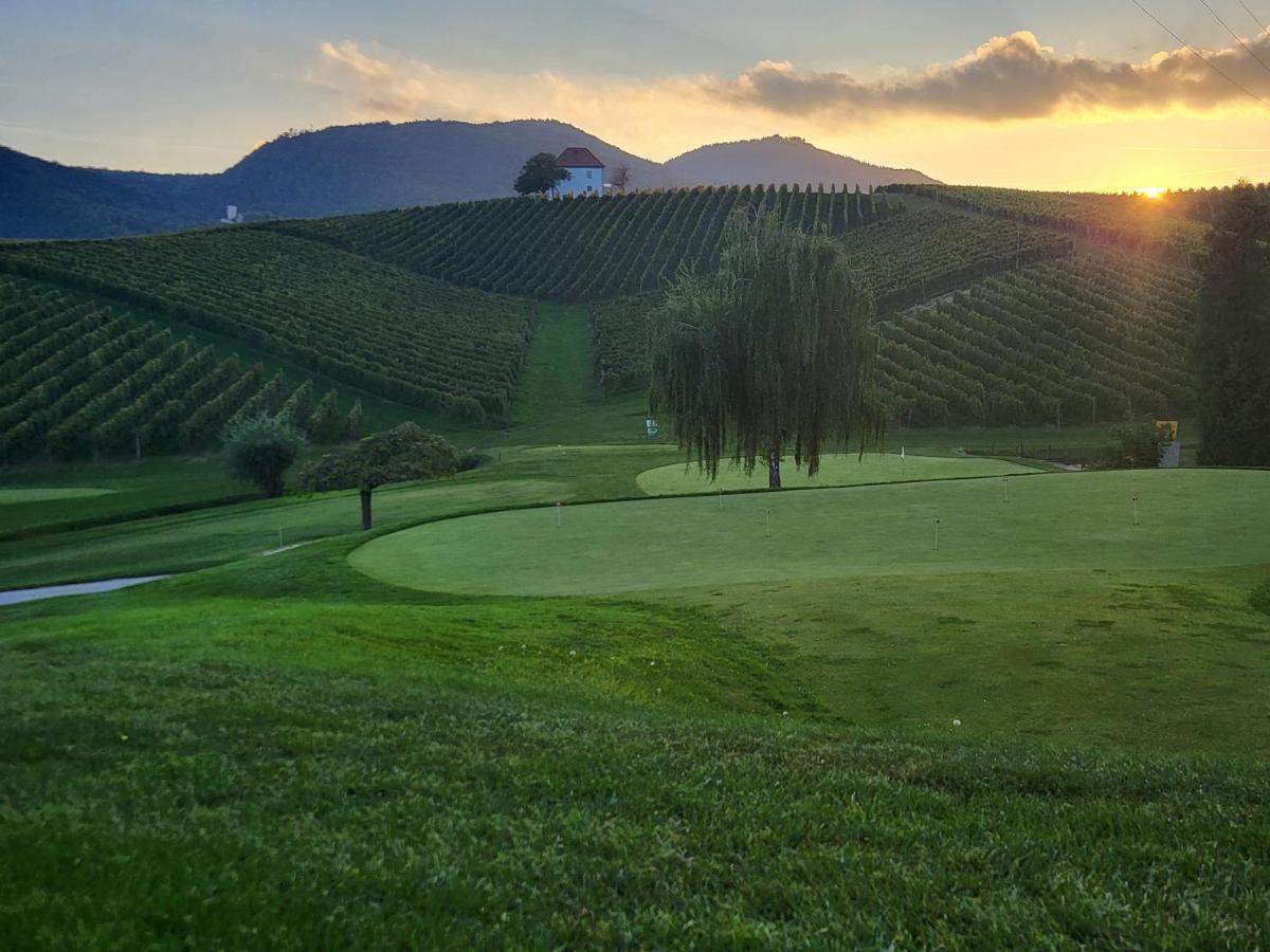 Wine Grower'S Mansion Zlati Gric Daire Slovenske Konjice Dış mekan fotoğraf