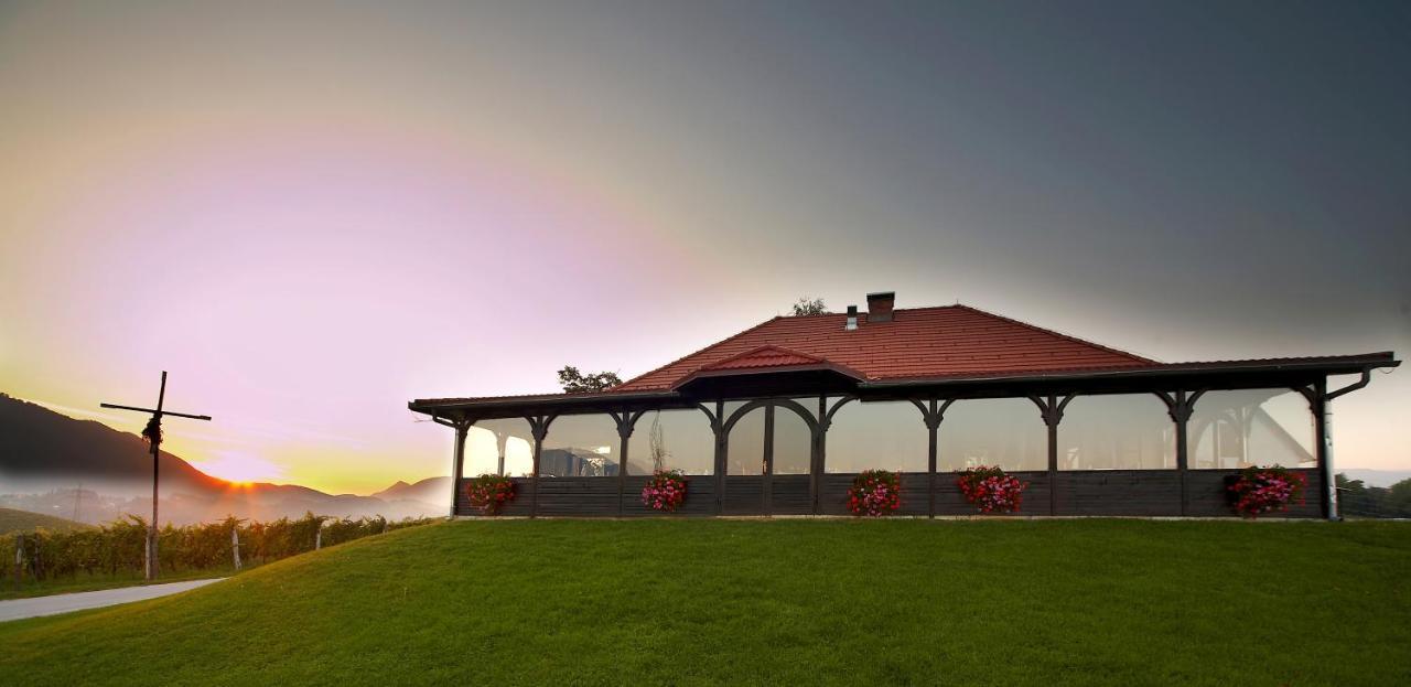 Wine Grower'S Mansion Zlati Gric Daire Slovenske Konjice Dış mekan fotoğraf