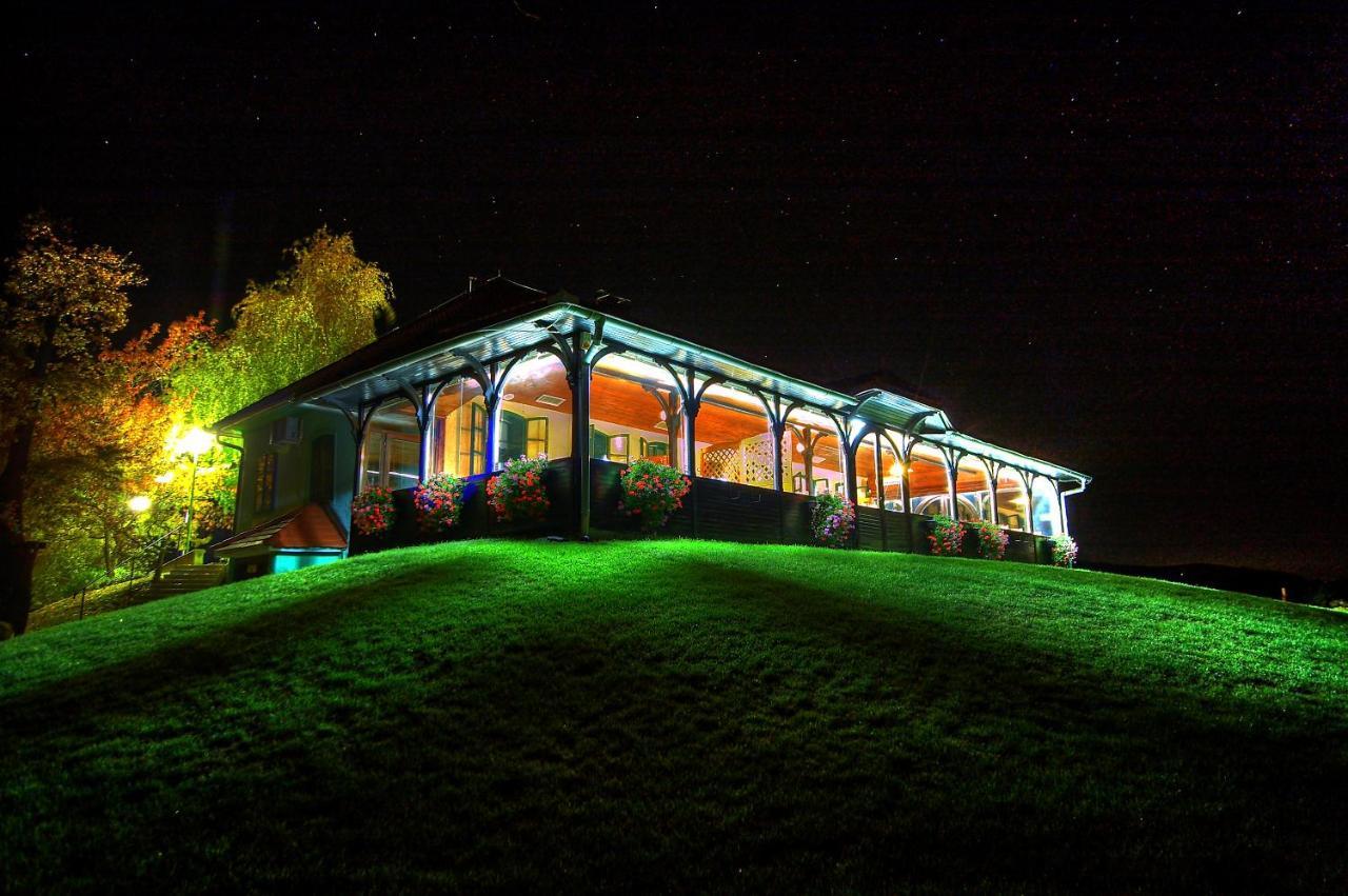 Wine Grower'S Mansion Zlati Gric Daire Slovenske Konjice Dış mekan fotoğraf