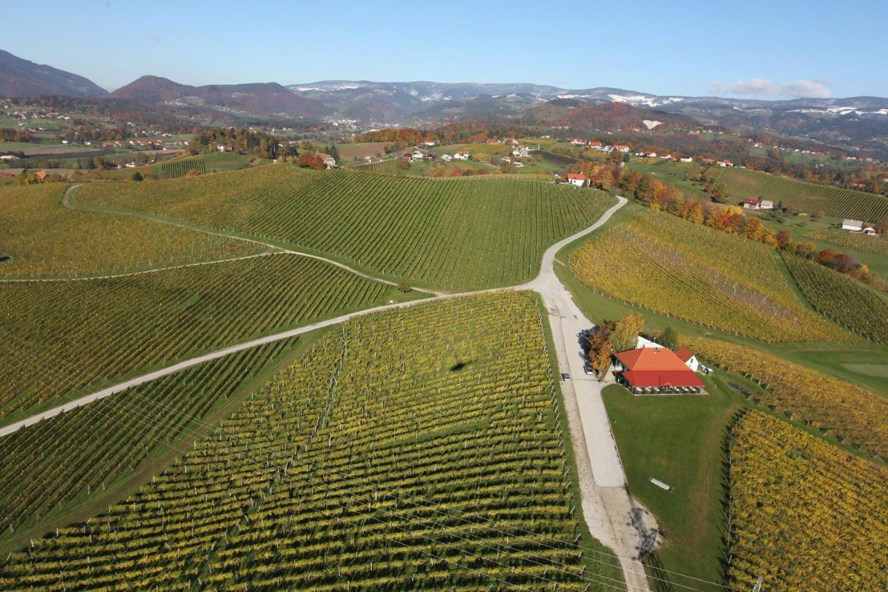 Wine Grower'S Mansion Zlati Gric Daire Slovenske Konjice Dış mekan fotoğraf