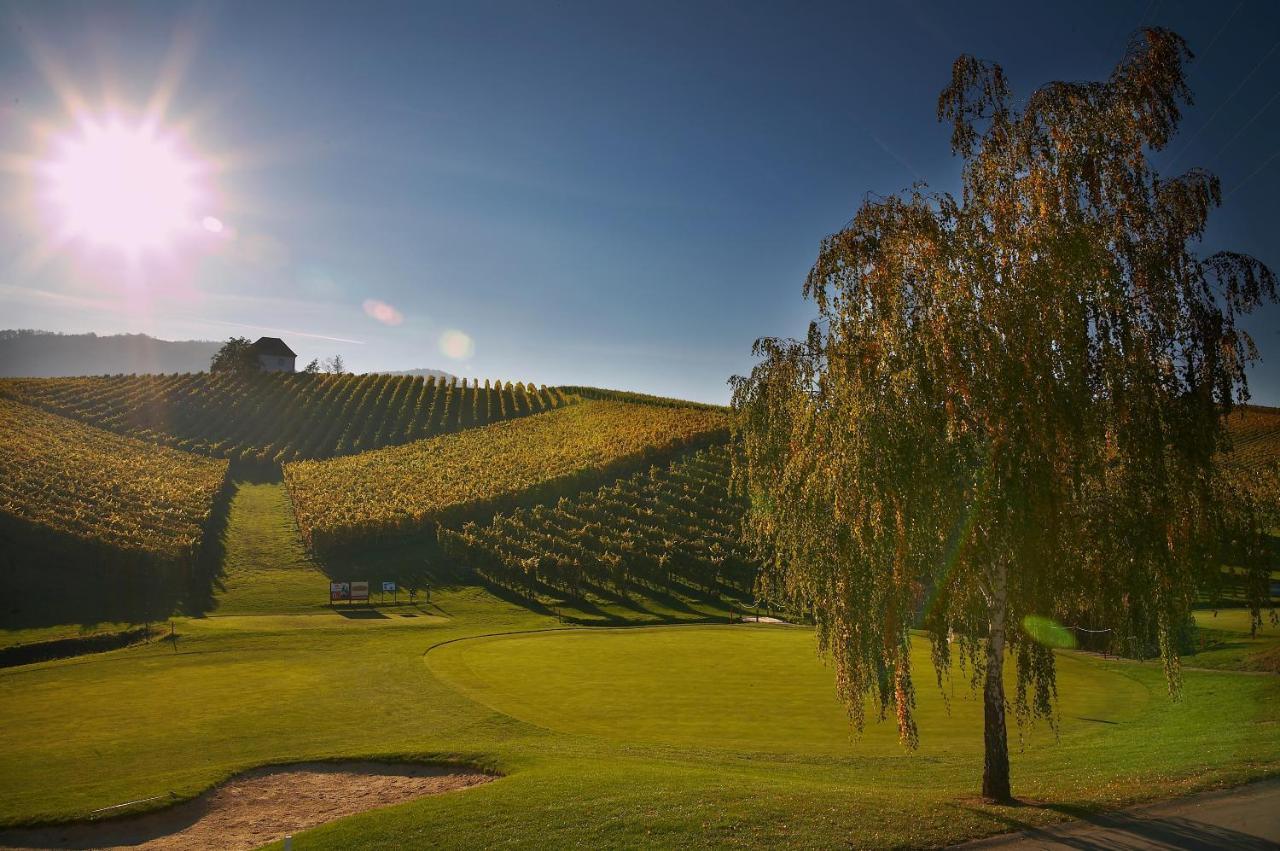 Wine Grower'S Mansion Zlati Gric Daire Slovenske Konjice Dış mekan fotoğraf