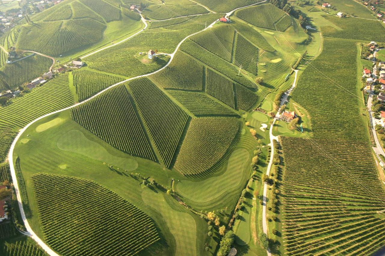 Wine Grower'S Mansion Zlati Gric Daire Slovenske Konjice Dış mekan fotoğraf