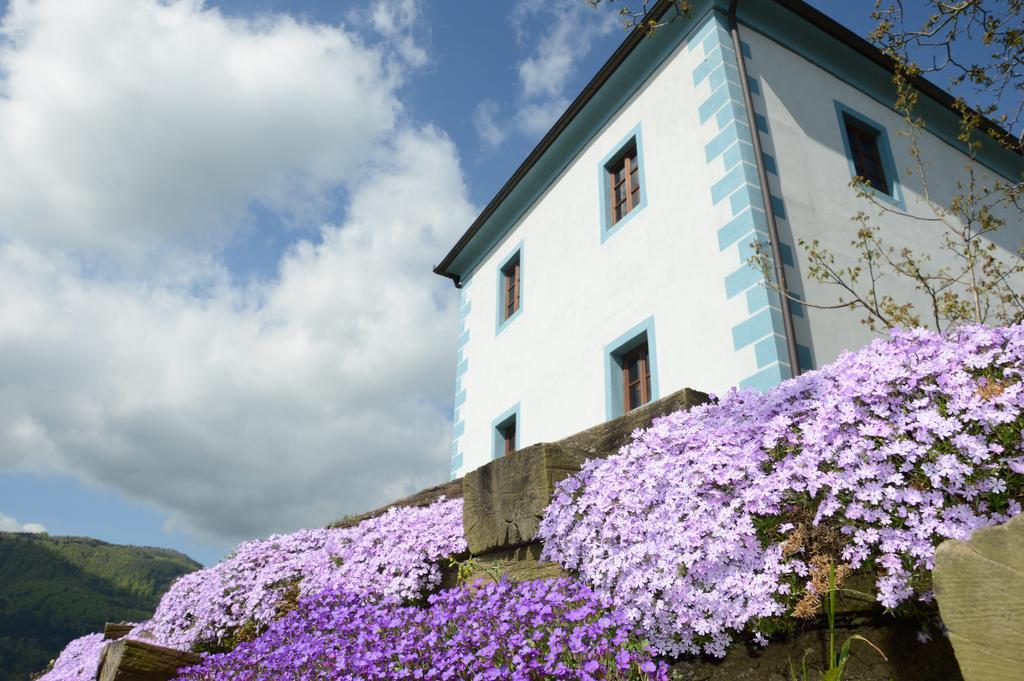 Wine Grower'S Mansion Zlati Gric Daire Slovenske Konjice Dış mekan fotoğraf