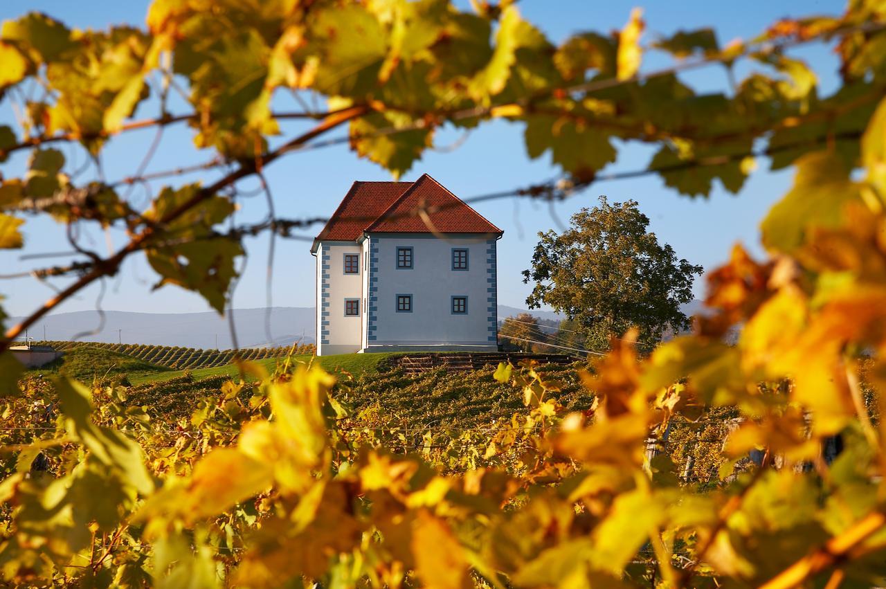 Wine Grower'S Mansion Zlati Gric Daire Slovenske Konjice Dış mekan fotoğraf