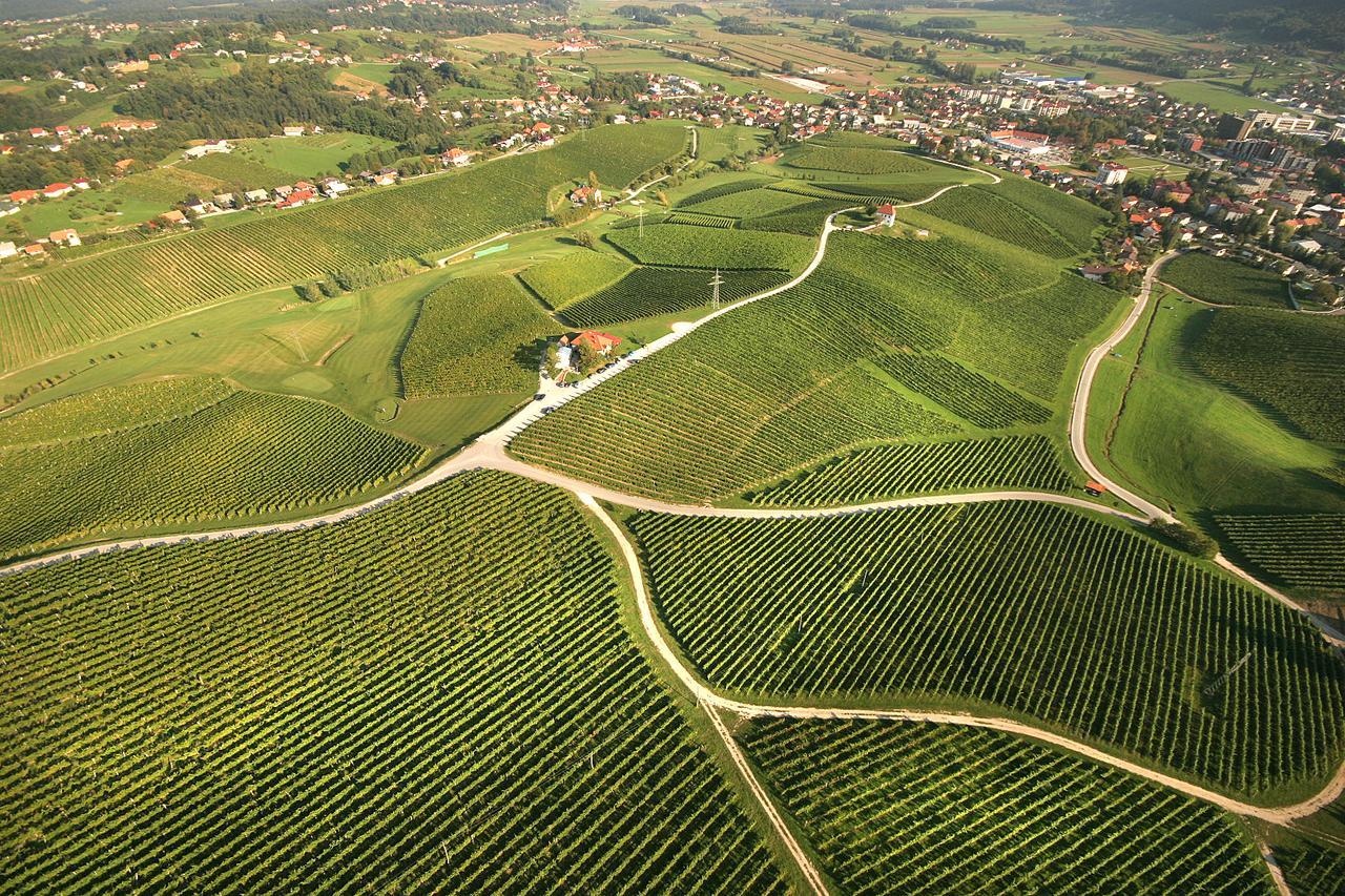 Wine Grower'S Mansion Zlati Gric Daire Slovenske Konjice Dış mekan fotoğraf