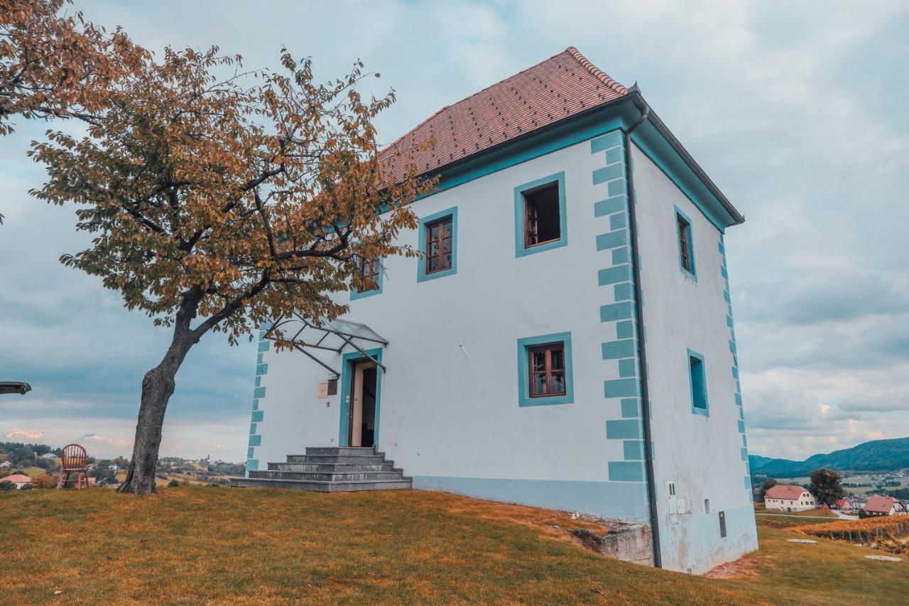 Wine Grower'S Mansion Zlati Gric Daire Slovenske Konjice Dış mekan fotoğraf