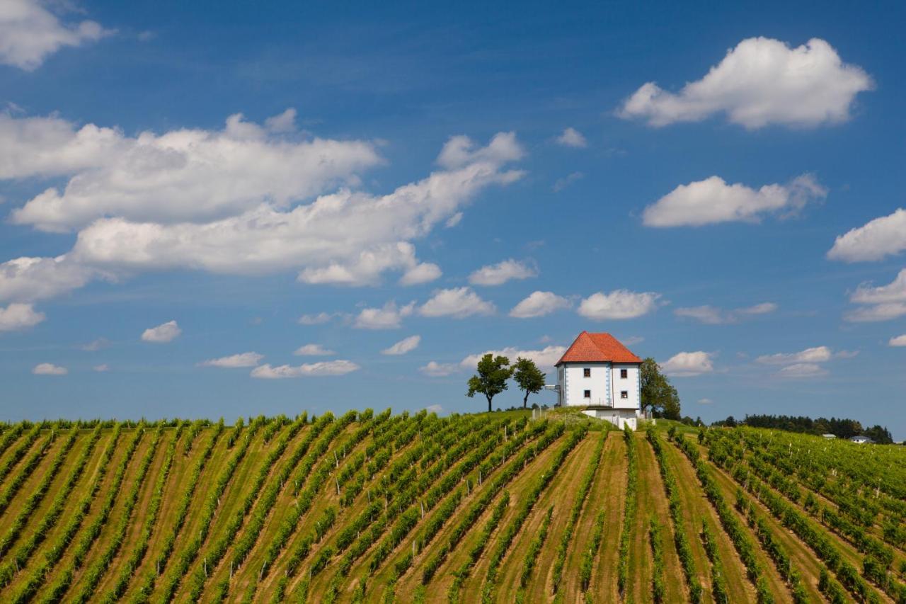 Wine Grower'S Mansion Zlati Gric Daire Slovenske Konjice Dış mekan fotoğraf